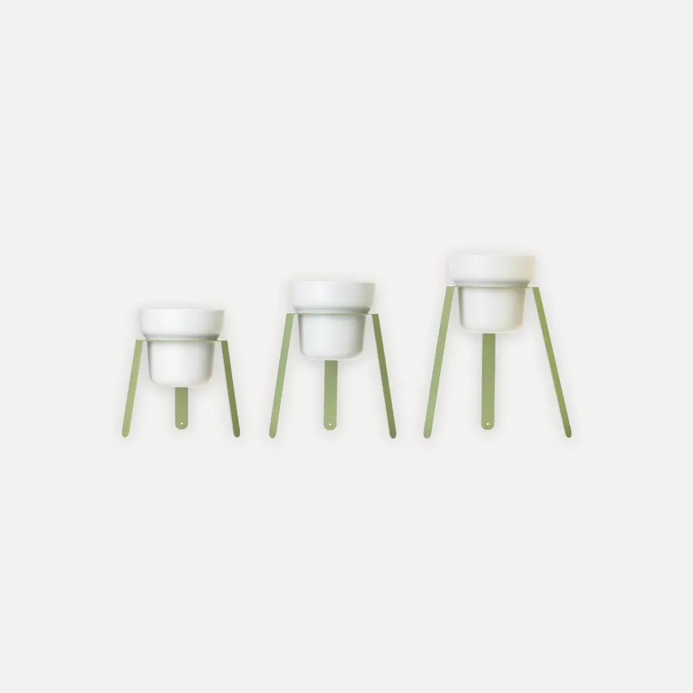 Conjunto de 3 vasos de flores de alturas diferentes