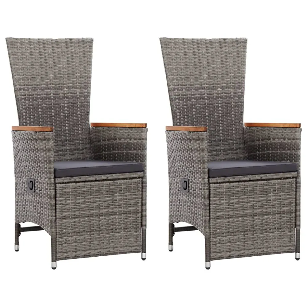 Cadeiras jardim reclináveis 2 pcs + almofadões vime PE cinzento