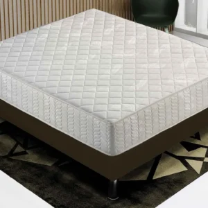 Colchão WaterFoam - 20 cm de altura - 7 zonas de conforto 100x190