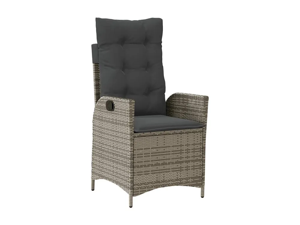 5 peças conjunto de jantar para jardim com almofadões vime PE cinza Clicnbuy