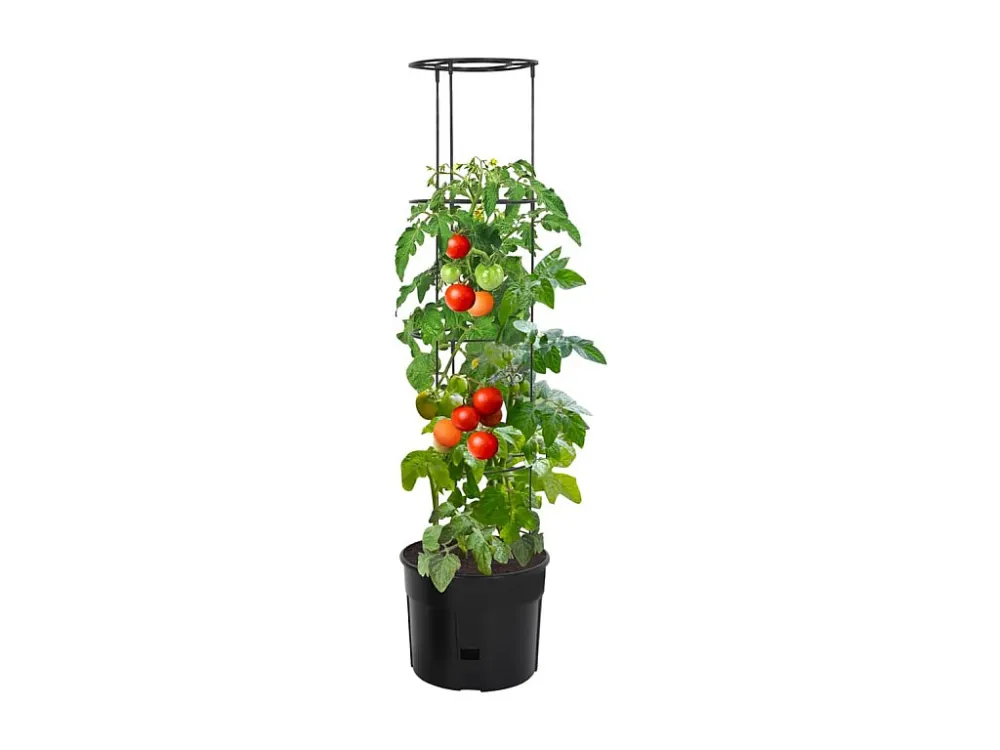 Vaso para cultivo de tomate Ø39x150 cm polipropileno antracite Clicnbuy