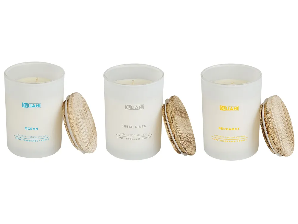 Set 3 Scented Candles SIMPLICITY Soy Wax Fruity Notes Fresco Notes