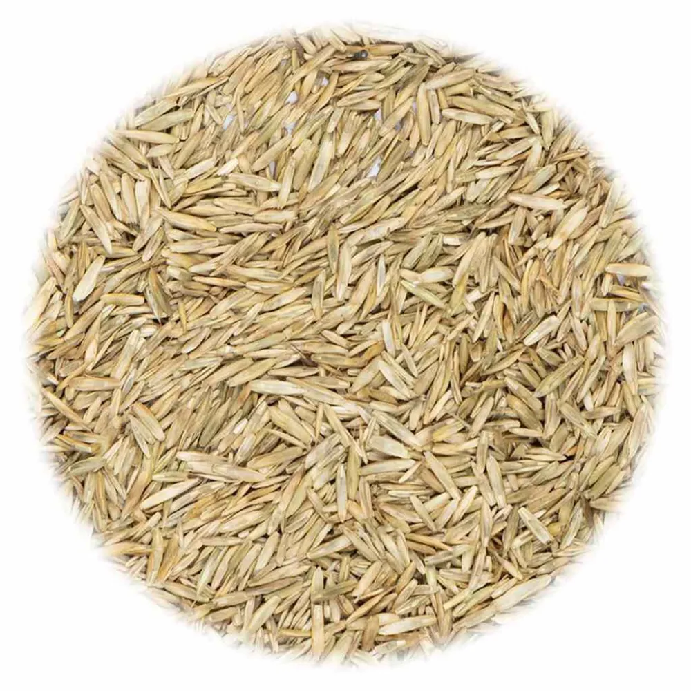 Sementes de Ervas Aromáticas Sementes de relva 5 kg