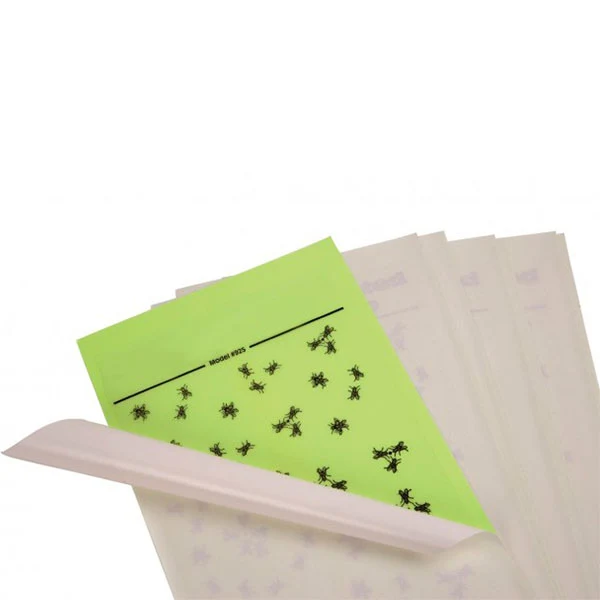 Proteção Contra Vento Telas Adesivas para Insectocaçadores 435x195 mm - 6 Un