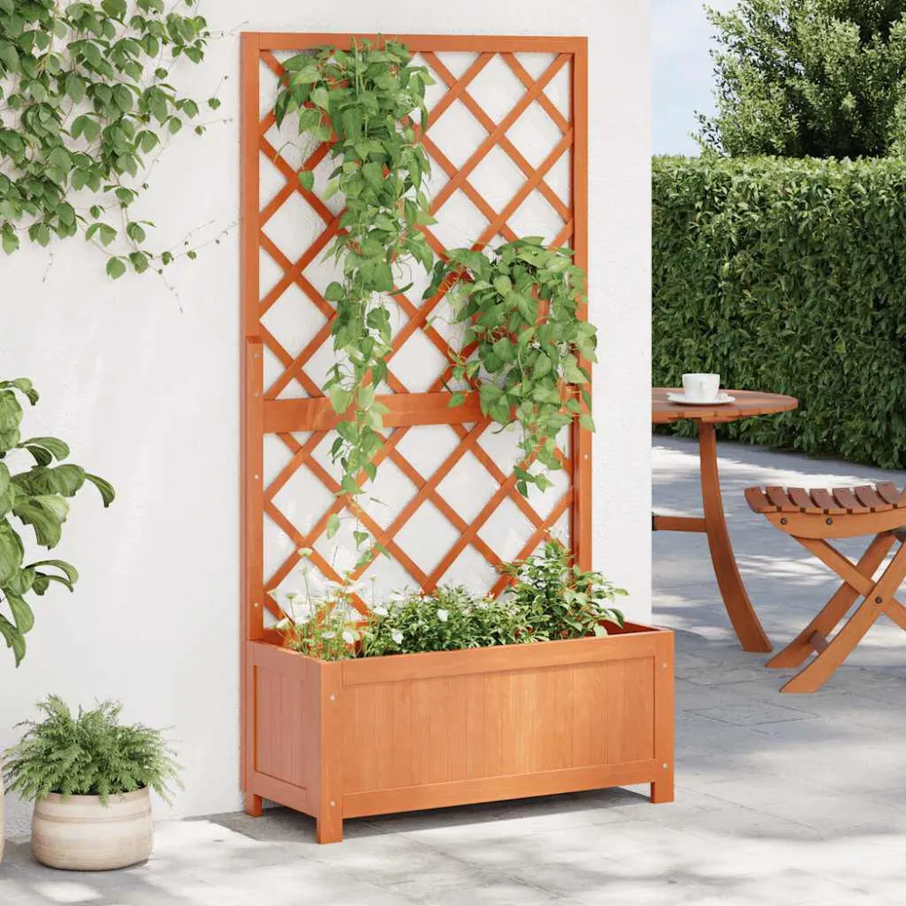 Prato Coletor Vaso com treliç para jardim 70x30x135 cm abeto maciço castanho